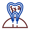 Venkateswara Dental Hospital